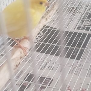 Meet your Posher, Maribel